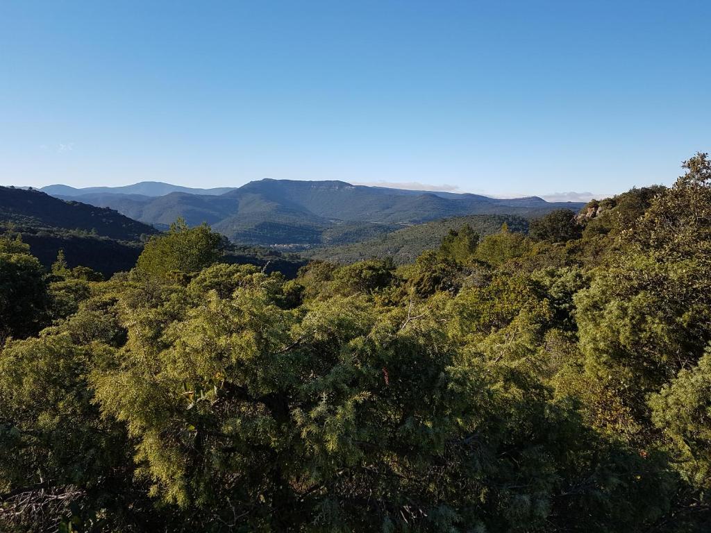 a view of a forest with mountains in the background at Un petit nid dans la garrigue in Saint-Pierre-des-Champs