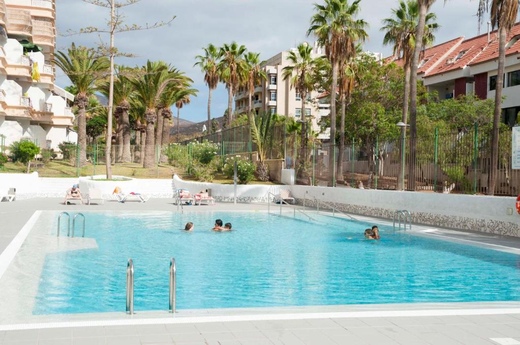 a group of people in a swimming pool with palm trees at playa honda in Playa de las Americas