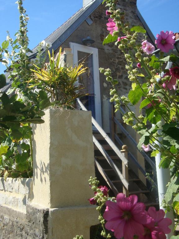 Zahrada ubytování Studio "LA MEDINA", PISCINE dès le 12 juillet, JARDIN BOTANIQUE, COMMERCES &MER