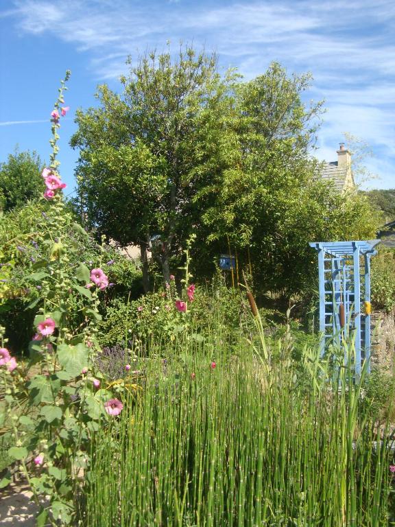 Zahrada ubytování Studio "LA MEDINA", PISCINE dès le 12 juillet, JARDIN BOTANIQUE, COMMERCES &MER