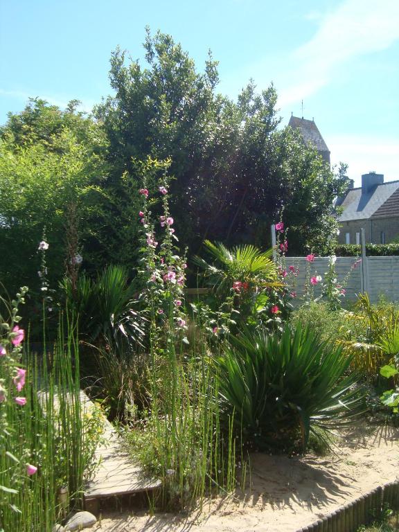 Zahrada ubytování Studio "LA MEDINA", PISCINE dès le 12 juillet, JARDIN BOTANIQUE, COMMERCES &MER