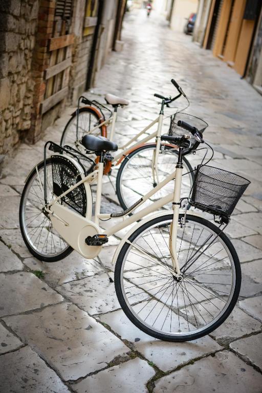 Jazda na bicykli v okolí ubytovania B&B La Bouganville di Serena