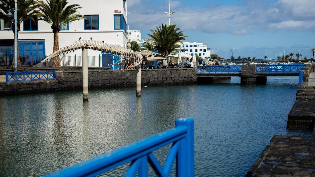 Fotografia z galérie ubytovania Vanesa Center v destinácii Arrecife