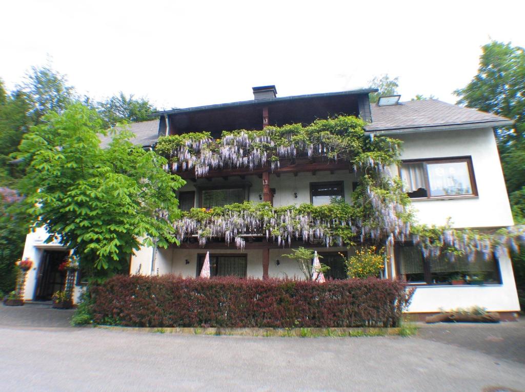 uma casa com muitas plantas ao lado dela em Hotel Engelbracht inklusive MeineCardPlus em Willingen