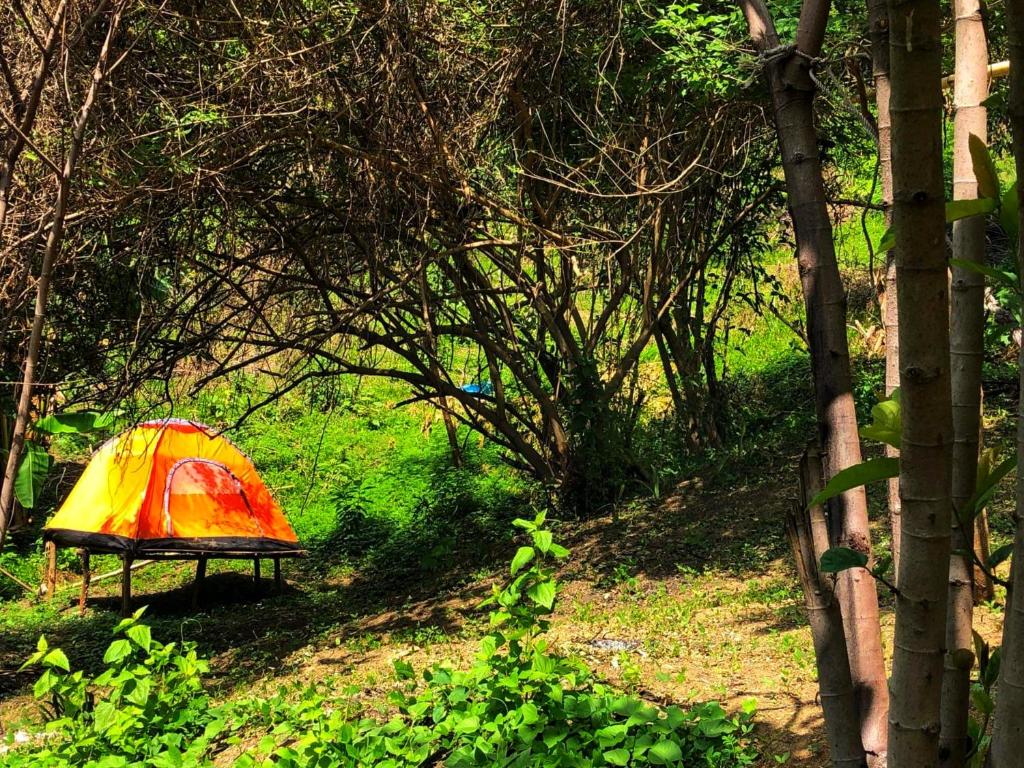 Forest Camping Antipolo Philippines Booking Com