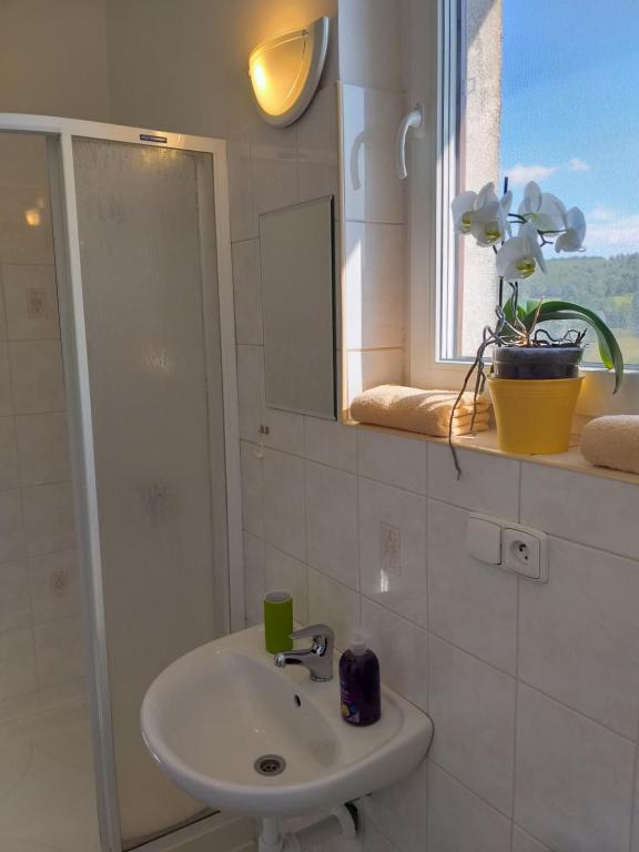 un bagno con lavandino, specchio e finestra di U Pohody a Kovářská