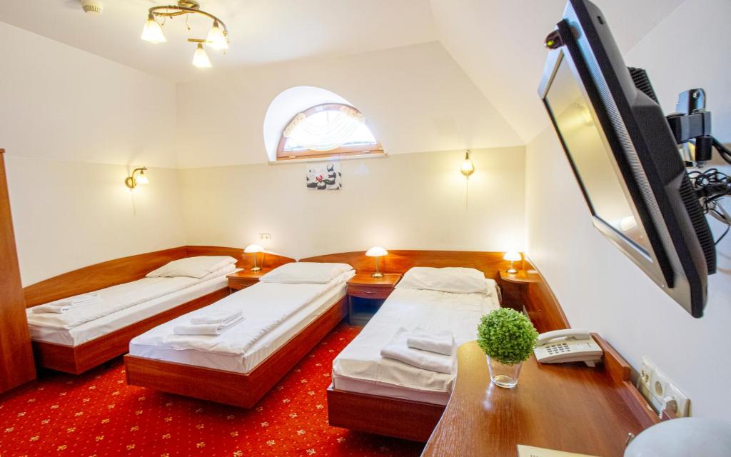 Televízia a/alebo spoločenská miestnosť v ubytovaní Hotel Stary Młyn