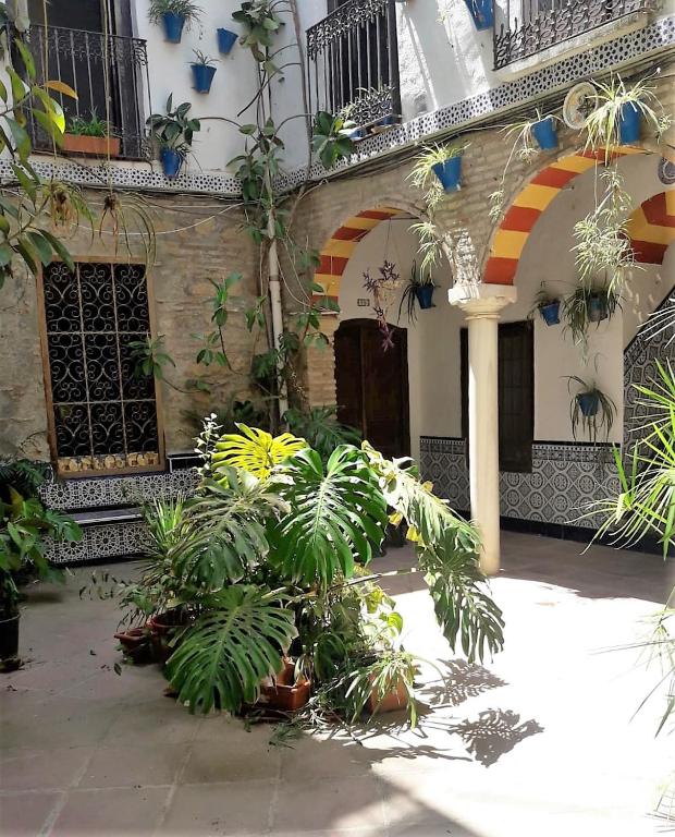 Fotografie z fotogalerie ubytování AP Abderraman I Cordoba v destinaci Córdoba