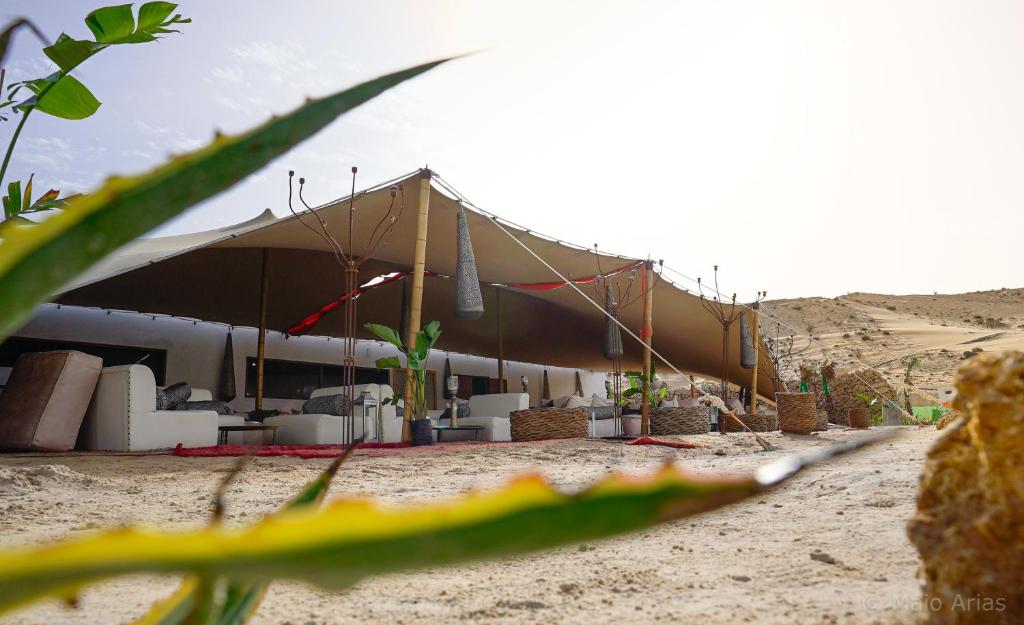 Příroda nedaleko luxury tent
