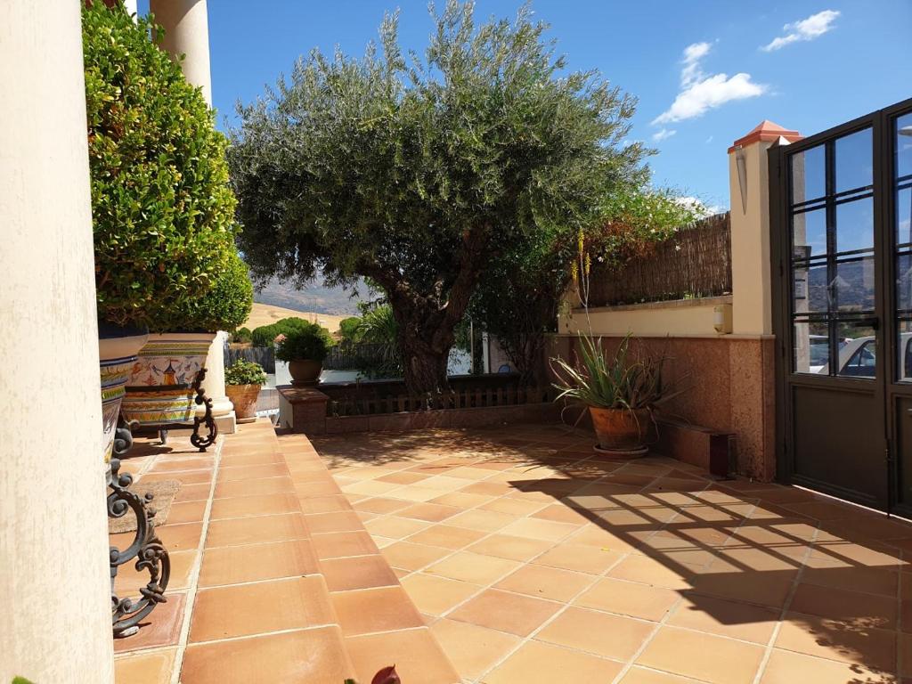 Alojamiento El Olivo - 14