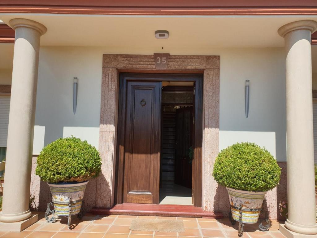 Alojamiento El Olivo - 16