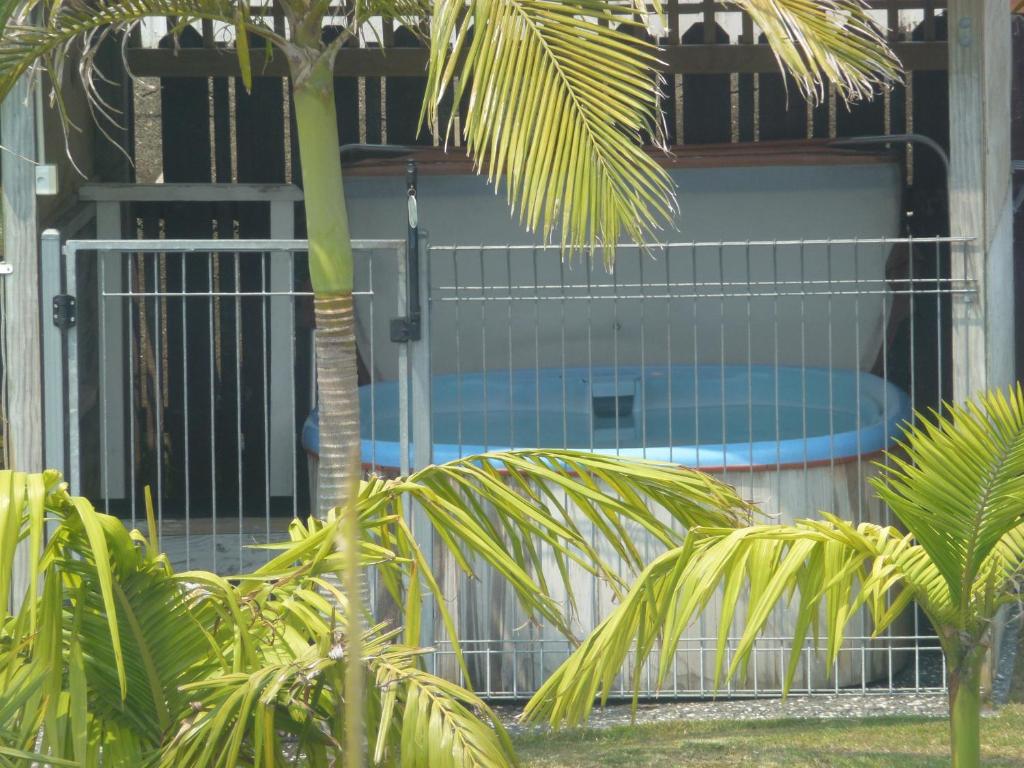 Mana-Nui Motel - Resim 8