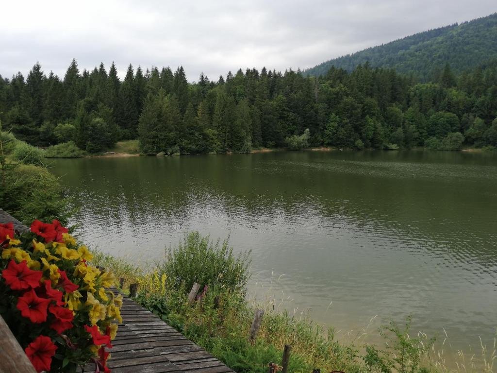 Příroda nedaleko apartmánu