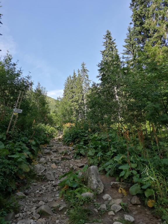 Příroda nedaleko apartmánu
