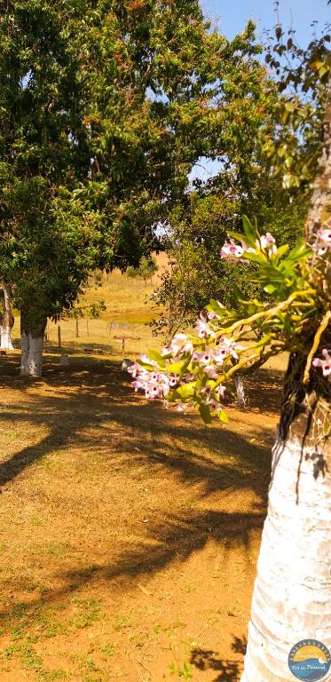  Pousada Vale dos Pássaros