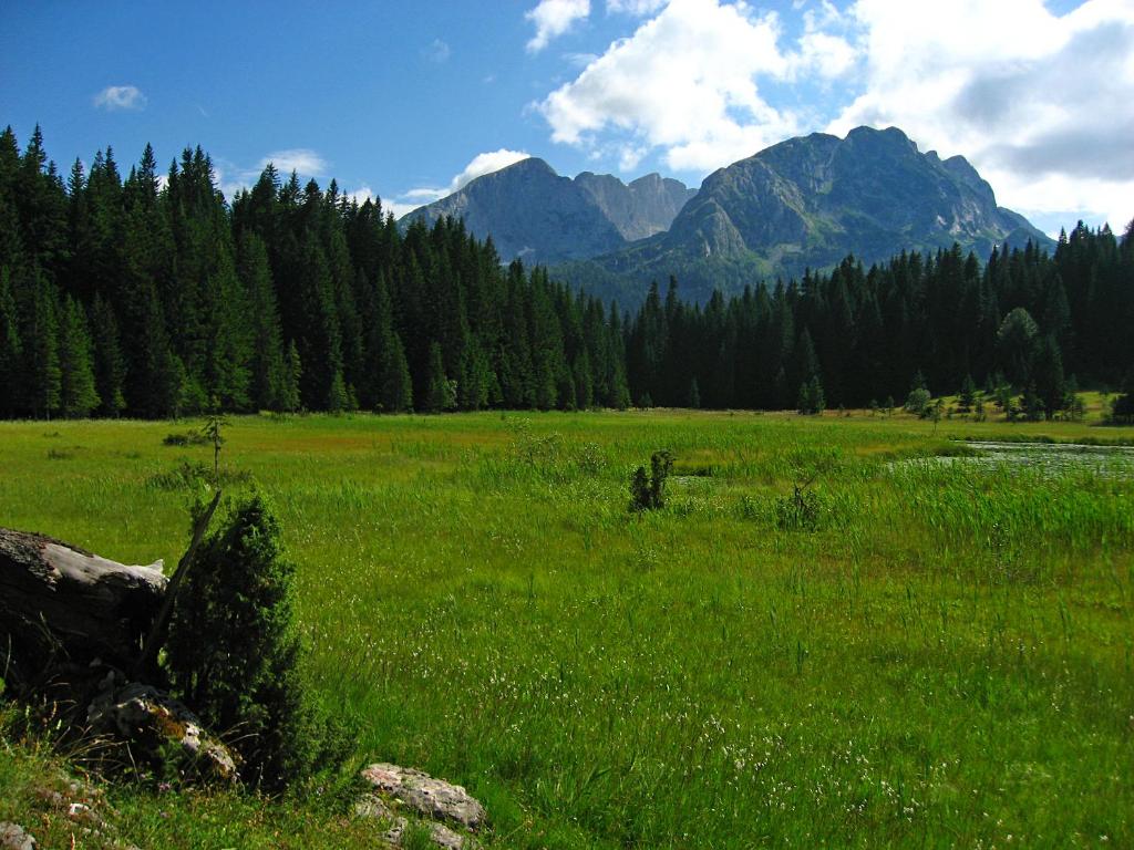 Paesaggio naturale nelle vicinanze dello chalet