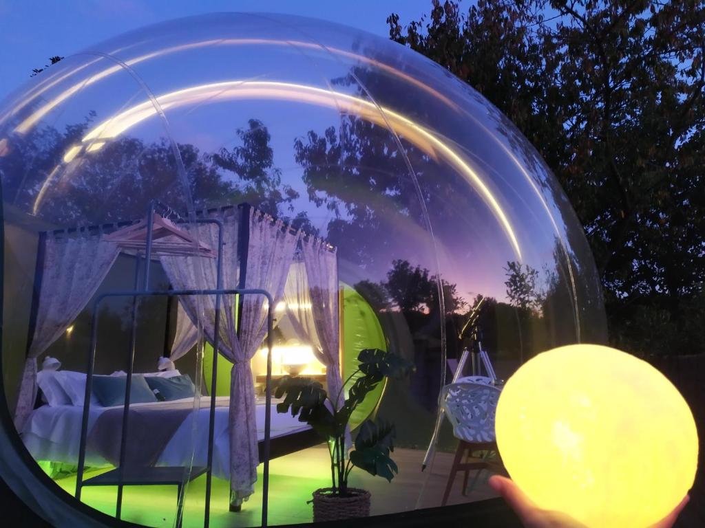 Zahrada ubytování REMANSO DE TRASFONTAO Casa das Árbores & Bubble