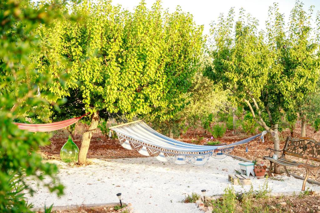 Jardí fora de B&B Mandorla Amara