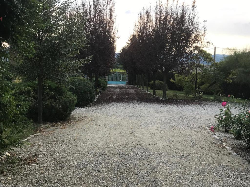 A garden outside Villa Belforte