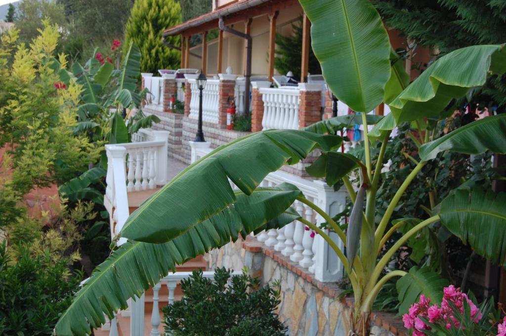 Zahrada ubytování Hotel Ramosaco, Radhimë, Vlorë