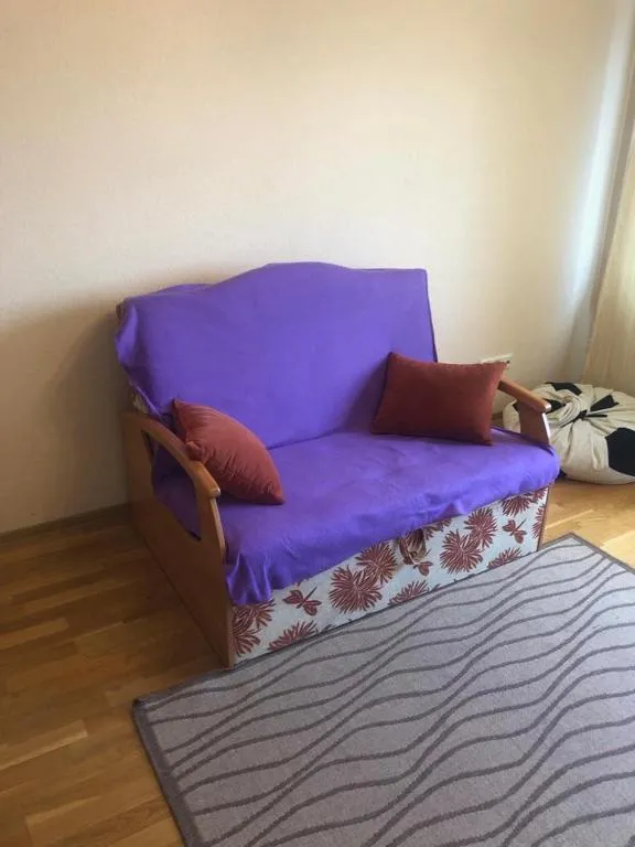 Apartment on Moskovsky 207, Kudrovo, Russia