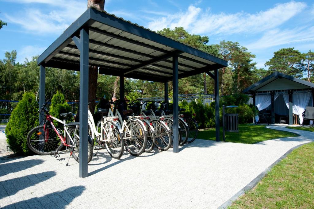 Jízda na kole v ubytování Cristal SPA nebo okolí