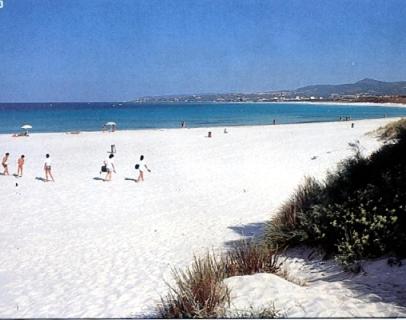a group of people walking on a beach at Piccolo Hotel in Rosignano Solvay