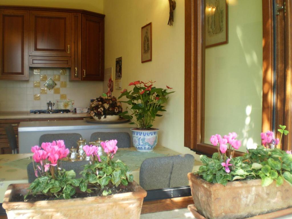 Zahrada ubytování B&B Fontanella