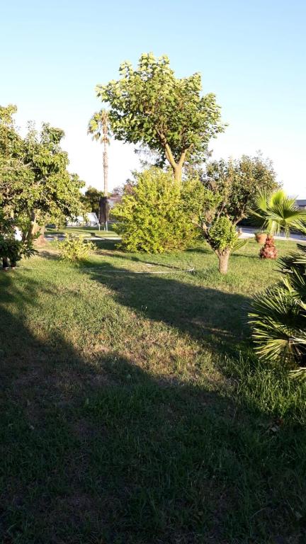 A garden outside Casa Vacanze nel Verde a 5 Km dal mare