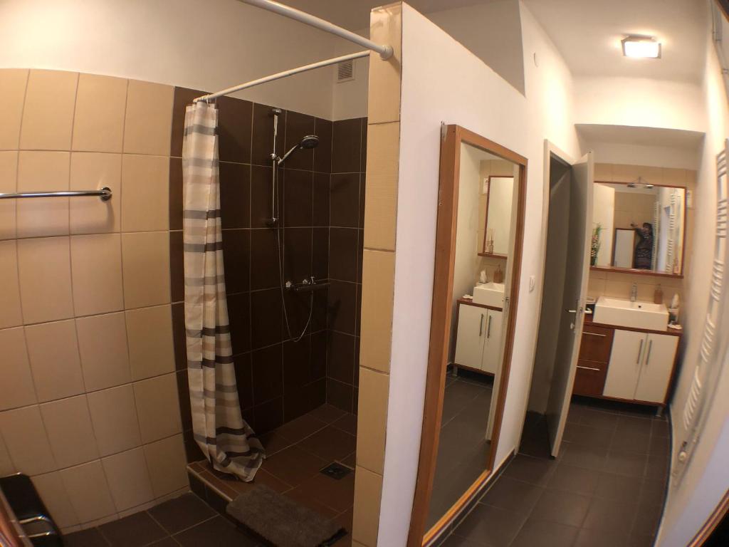 Koupelna v ubytování Apartment zur Brücke