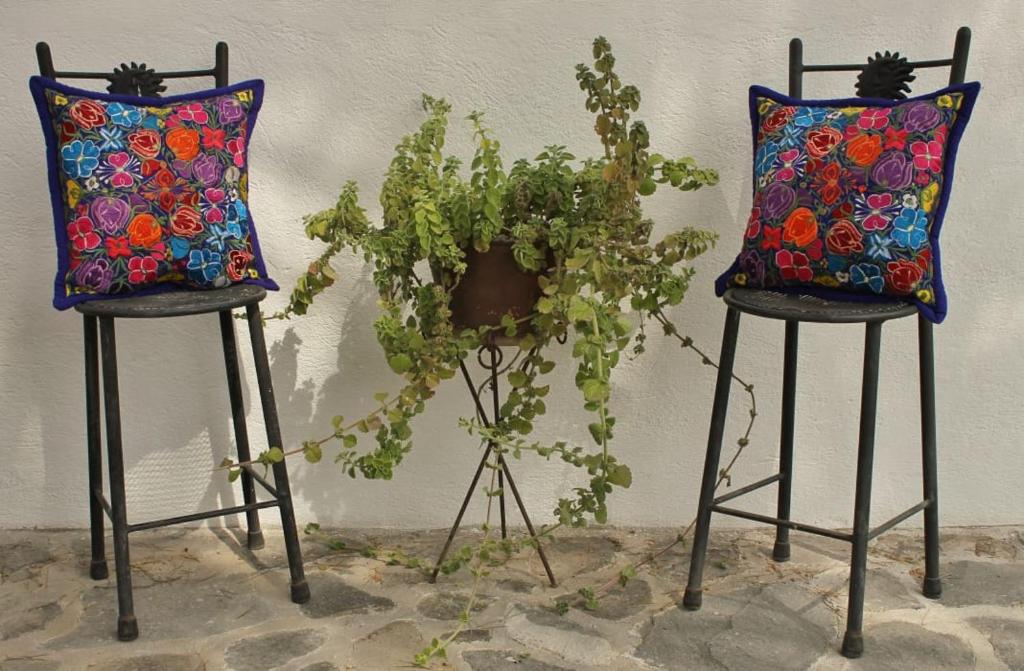 Fotografie z fotogalerie ubytování Casa de Cactus v destinaci Bernal