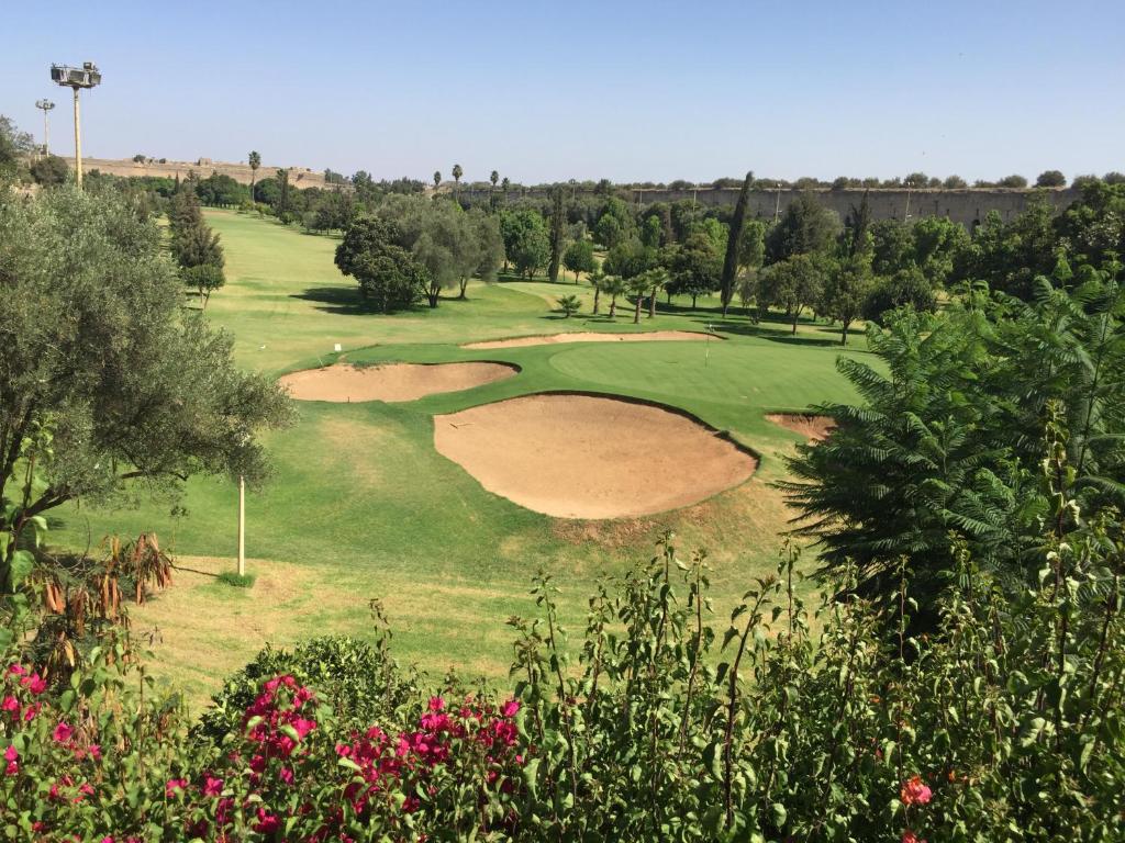 Golf v riadu nebo okolí