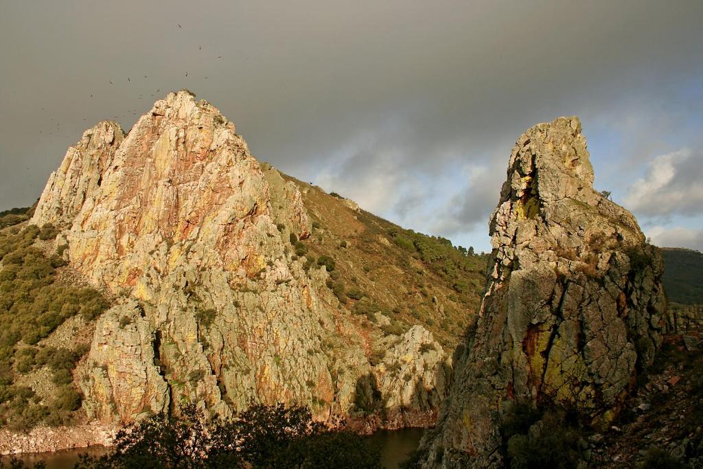 マルパルティダ・デ・プラセンシアにあるBungalows Camping Parque Nacional de Monfragüeの木々が植えられた大きな岩山