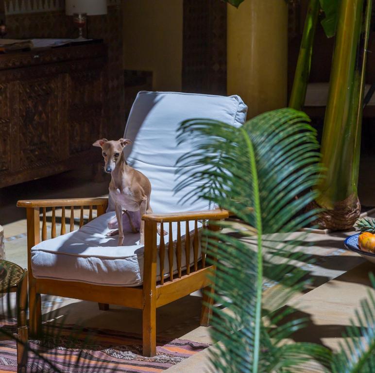 Fotografie z fotogalerie ubytování Riad Azoulay v Marrákéši