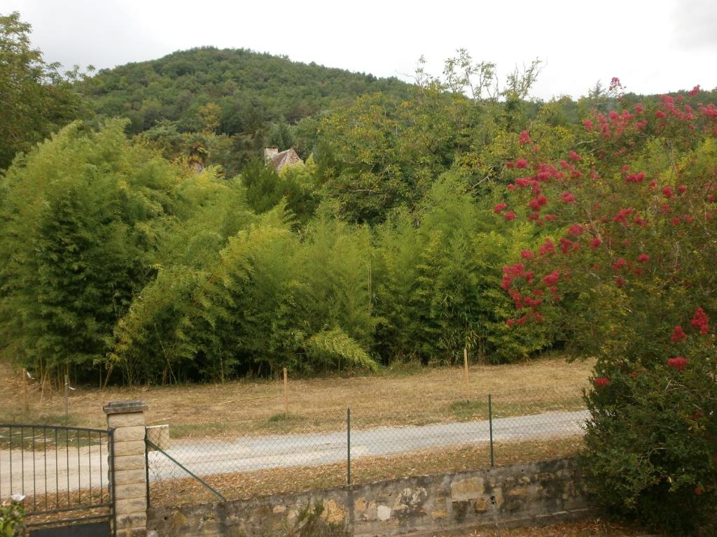 a road with a fence and trees and flowers at les noyers in Saint-Vincent-de-Cosse