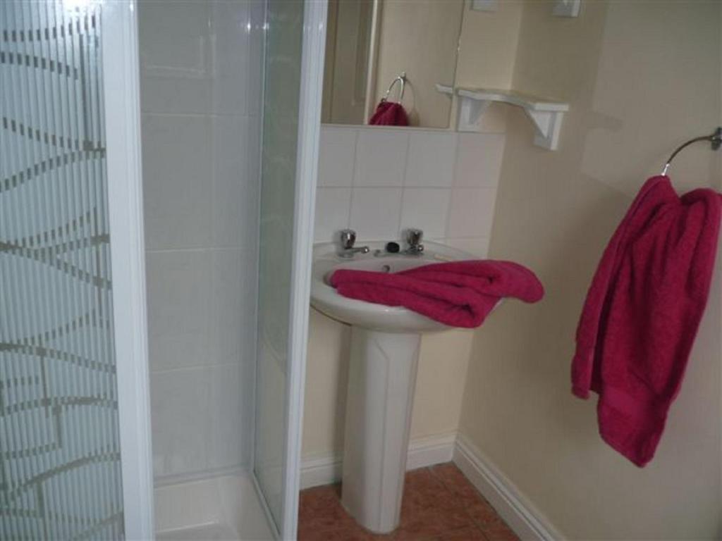 Koupelna v ubytování Armcashel B&B