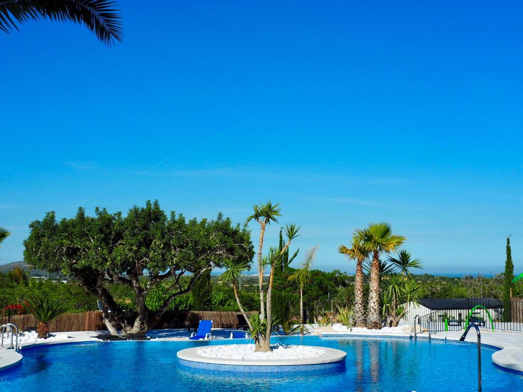 - une piscine bordée de palmiers et de chaises bleues dans l'établissement Camping L'Orangeraie, à Cálig