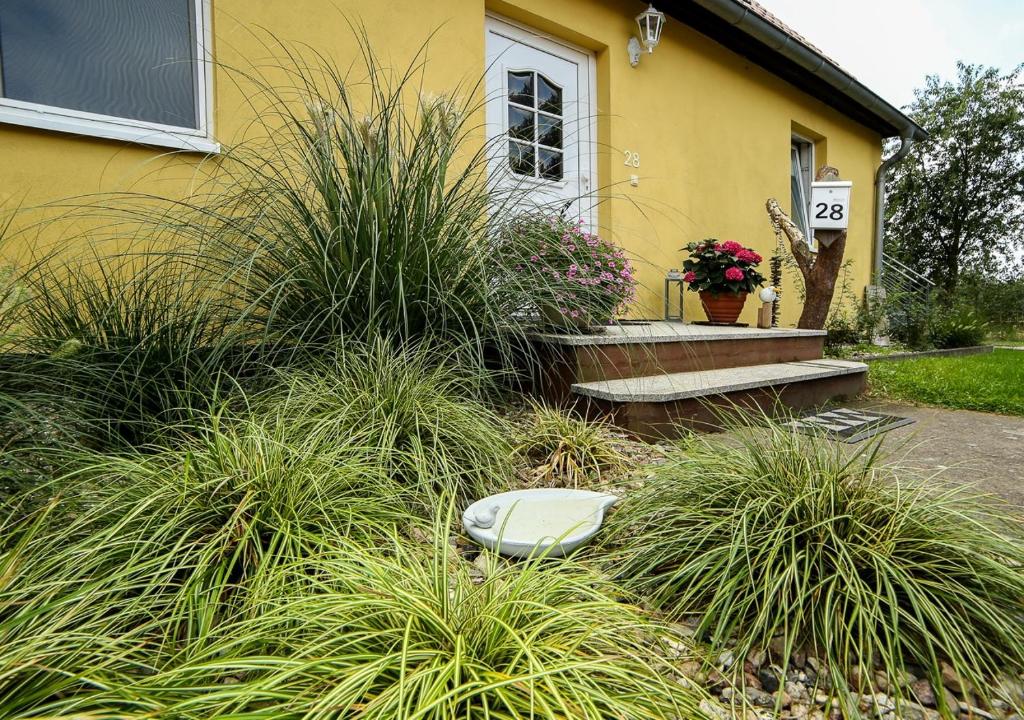 Sina في Pruchten: منزل مع حديقة مع بعض العشب الطويل
