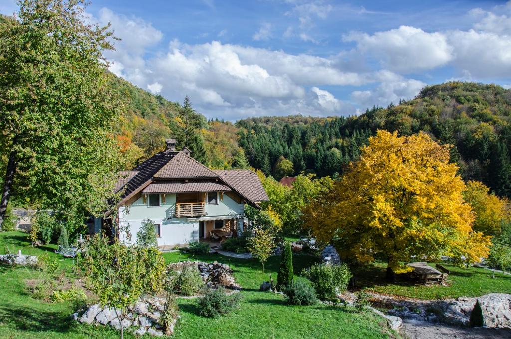 uma casa no meio de um campo com árvores em Miškar Rooms em Cerknica