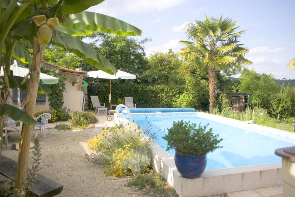 a swimming pool in a yard with a palm tree at Chambre d'Hôtes Oeuil de Bouc in Madiran