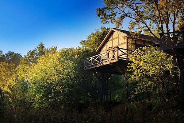 Domek Letniskowy Domy Na Drzewach Polska Strzelinko Booking Com