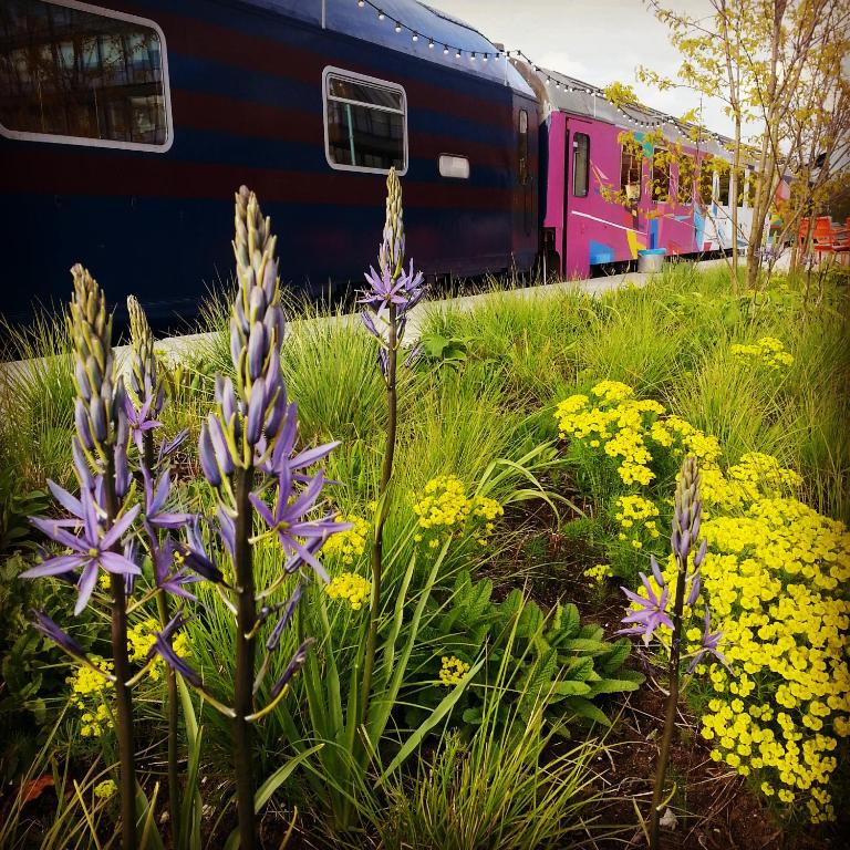 Zahrada ubytování Train Lodge Amsterdam