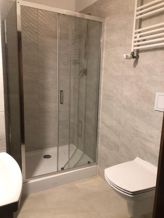 Koupelna v ubytování CIENISTA 7 APARTMENTS