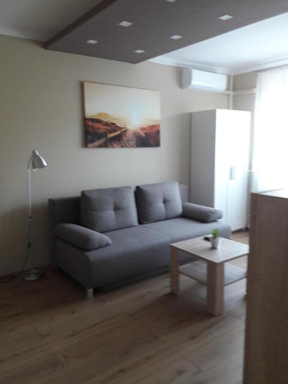 a living room with a couch and a table at Stúdió+19 Apartman in Kazincbarcika