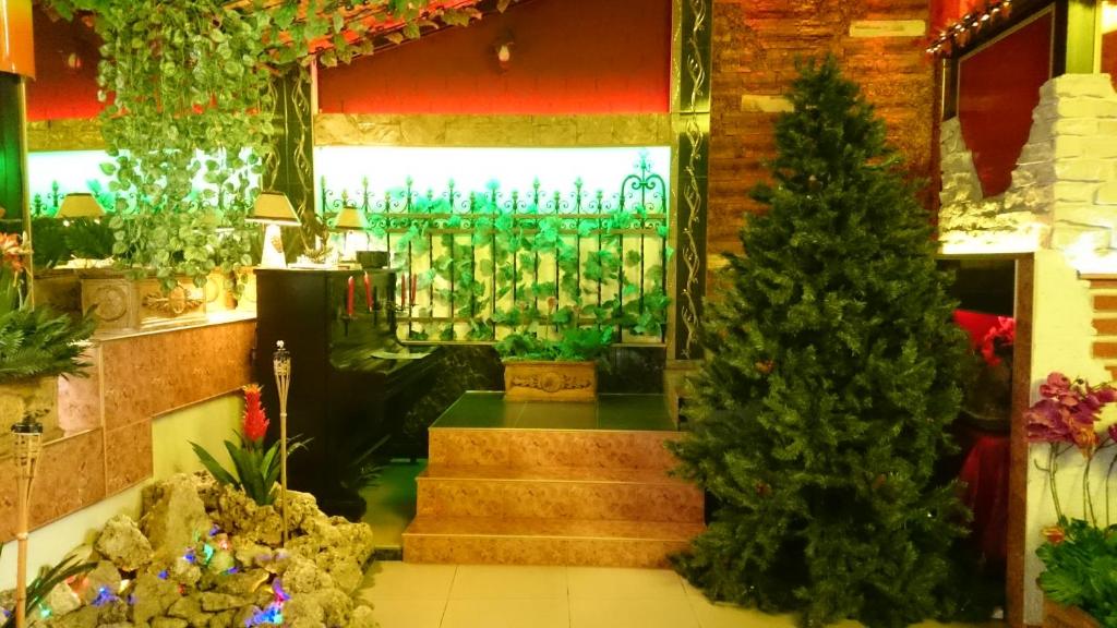 Zahrada ubytování Rimini Club Inn & Suites