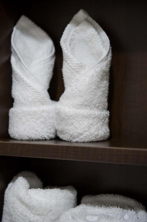 Microtel Inn & Suites by Wyndham Portage La Prairie - Queen Room - Niet -roken