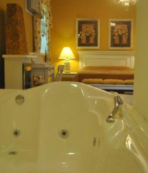 Pousada Quinta dos Pássaros Itaipava - Queen Suite Met Spa -bad