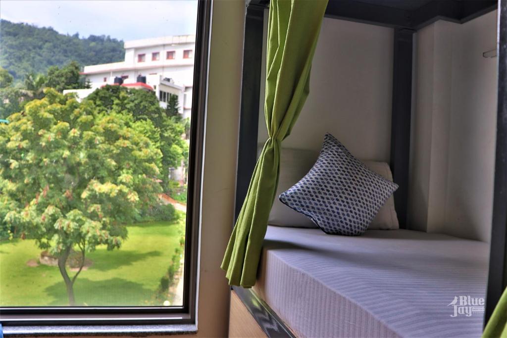 uma janela com vista para uma árvore em The Blue Jay Hostel - Dorms & Rooms em Rishikesh