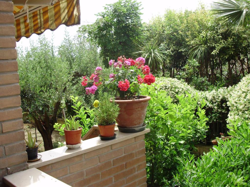 a group of potted plants sitting on a brick wall at B&B Le Palme in Grottammare