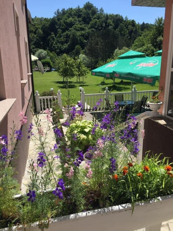 Zahrada ubytování Saraj Guest House